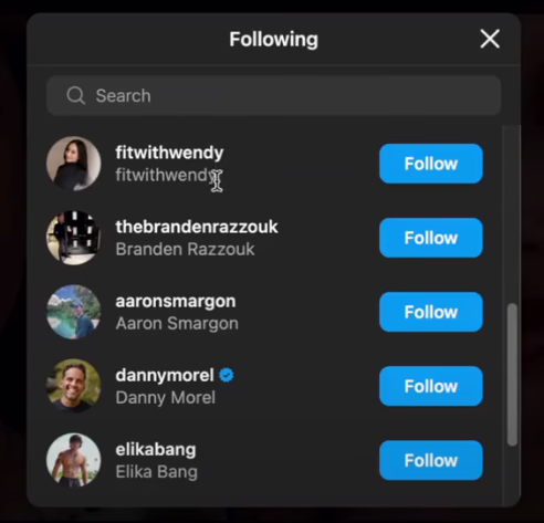 An Instagram following list, each account with a Follow button